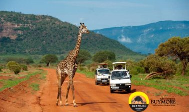 Iconic Destinations in Kenya
