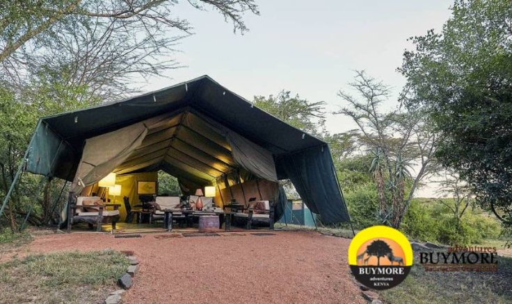 Feel Refreshed On A Kenya Camping Tour And Explore The Unforgettable Wildlife Encounters