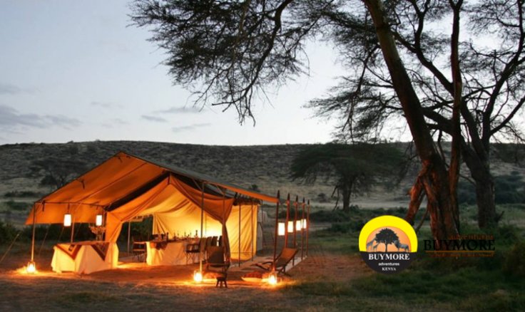 Safari Expertise, Unforgettable Guides, & Positive Impact All You Expect From Buymore Adventure