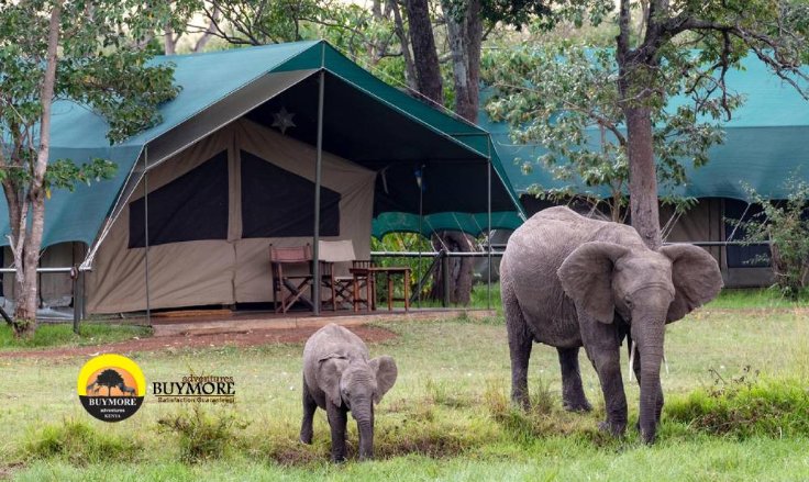 Why Buy More Adventures is Best for Kenya Lodge Safaris