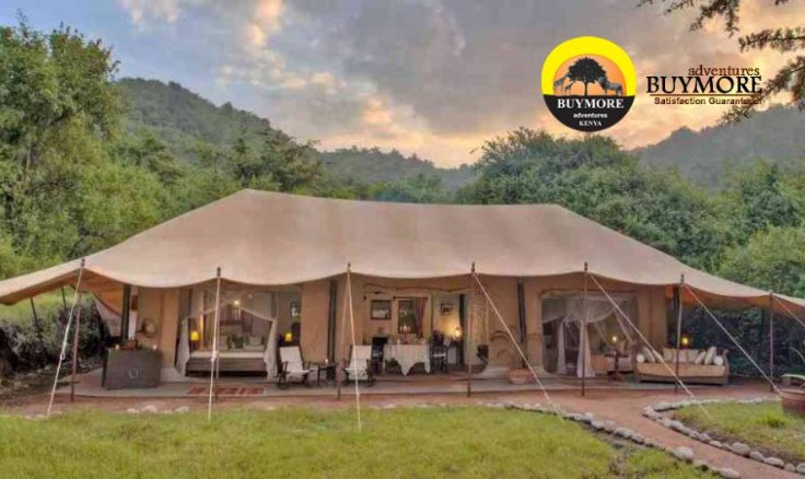 Luxurious Safari Escapes in kenya