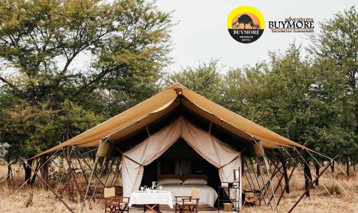 Discover Kenya’s Wilderness: Best Camping Tours for Adventure Seekers