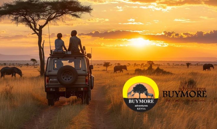 Why Kenya Luxury Safaris Define Ultimate African Adventure