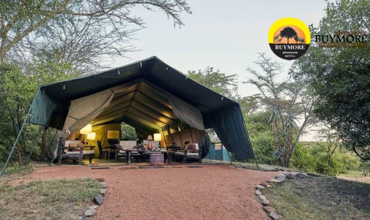 How Do You Plan a Camping Tour in Kenya to Remember?