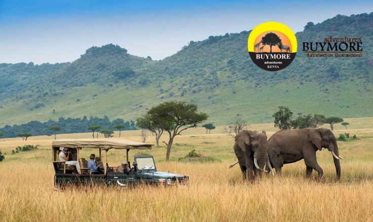 Indulge in Exclusive Wildlife Adventures: Premium Safari Experiences in Kenya