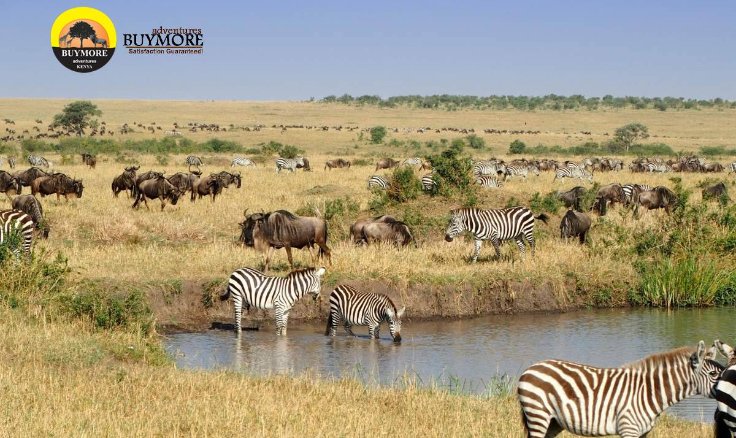 Magic of Masai Mara